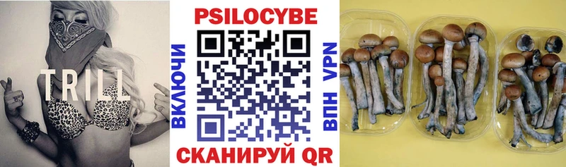 Галлюциногенные грибы Psilocybine cubensis  Козельск 